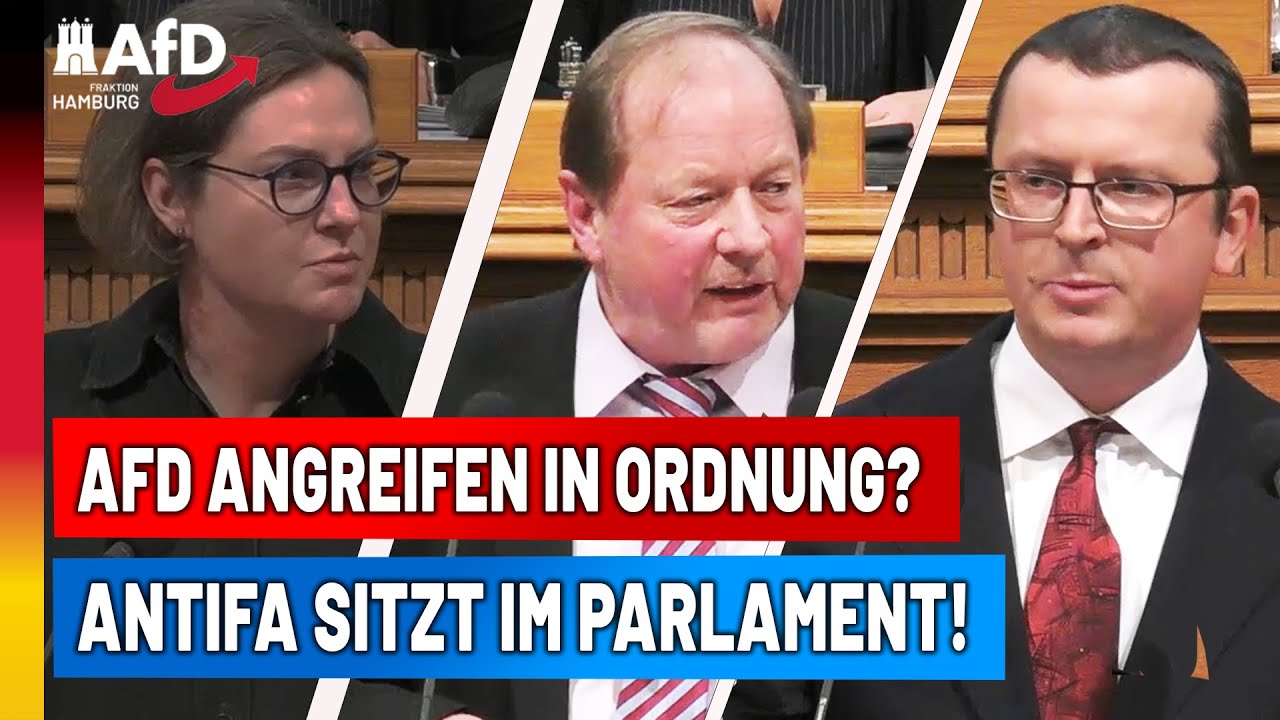 Mordversuch gegen AfD-Politiker halb so wild? Linker Terror bedroht uns alle!